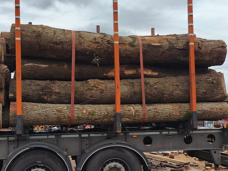 ROUND ASH WOOD WITH BARK 