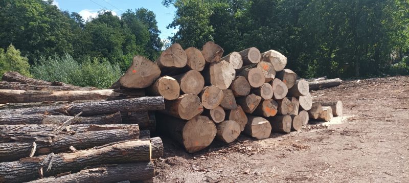 ROUND ASH WOOD WITH BARK 