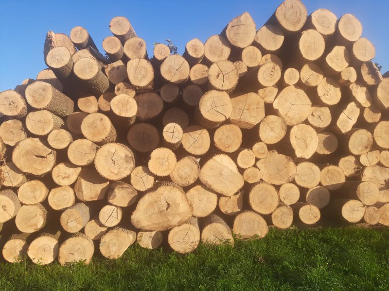 ROUND ASH WOOD WITH BARK 