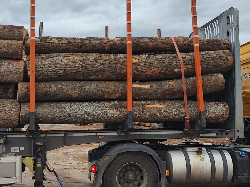 ROUND ASH WOOD WITH BARK 