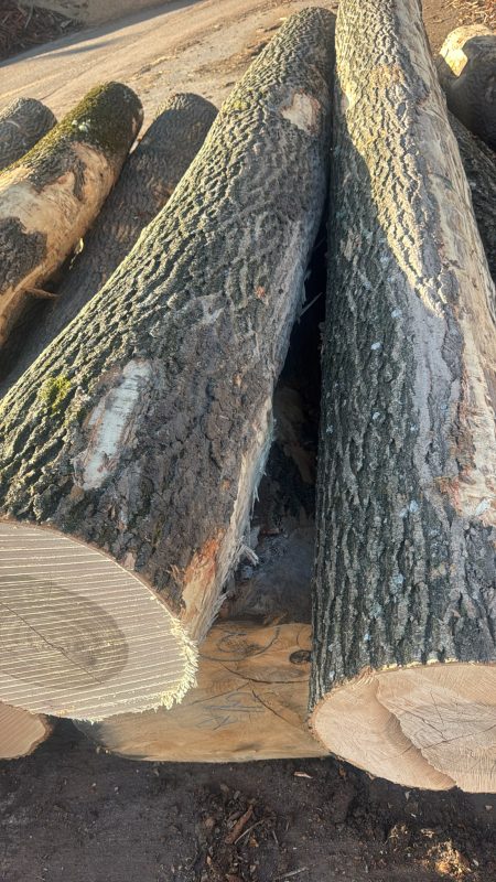 ROUND ASH WOOD WITH BARK 