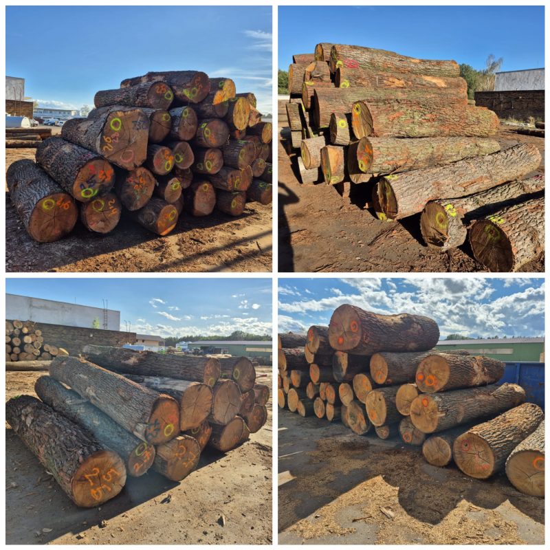 ROUND OAK WOOD WITH BARK 