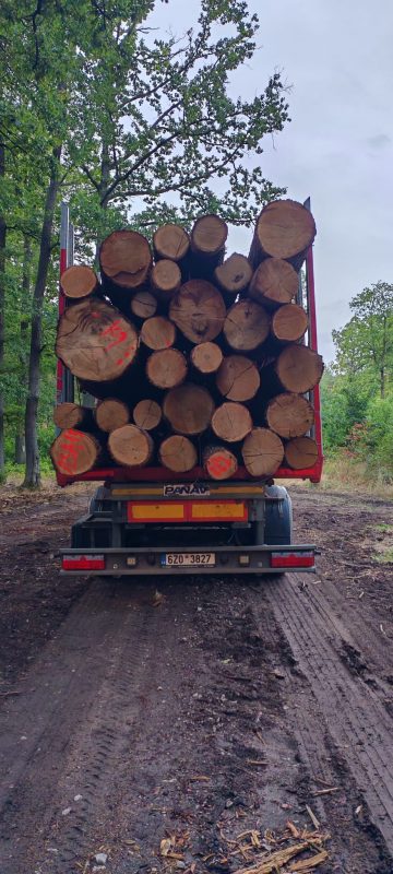 ROUND OAK WOOD WITH BARK 