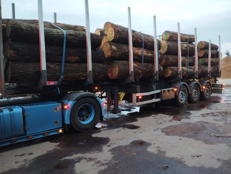 ROUND OAK WOOD WITH BARK 