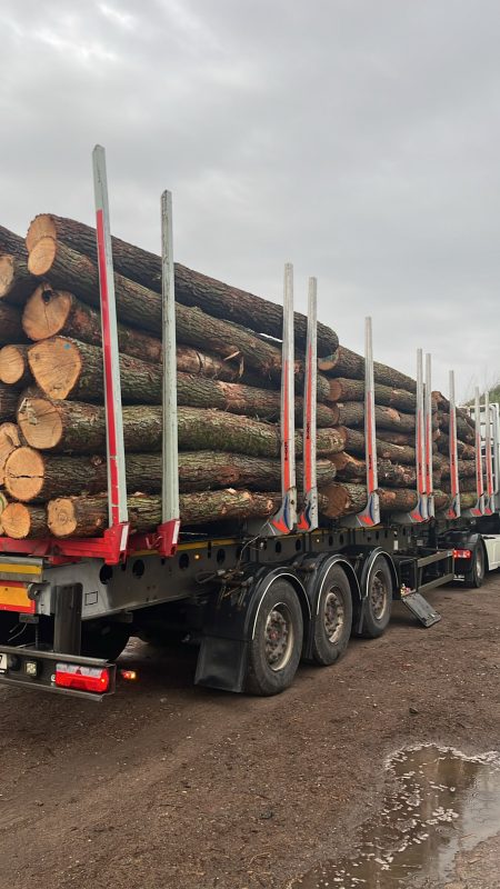 ROUND OAK WOOD WITH BARK 