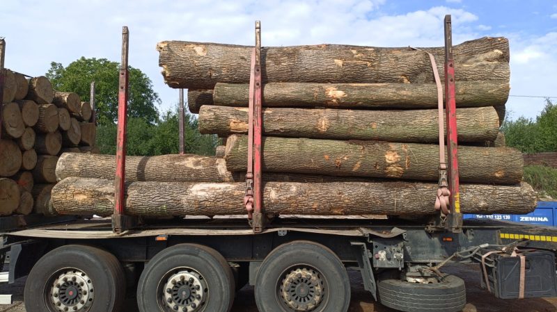 ROUND ASH WOOD WITH BARK 