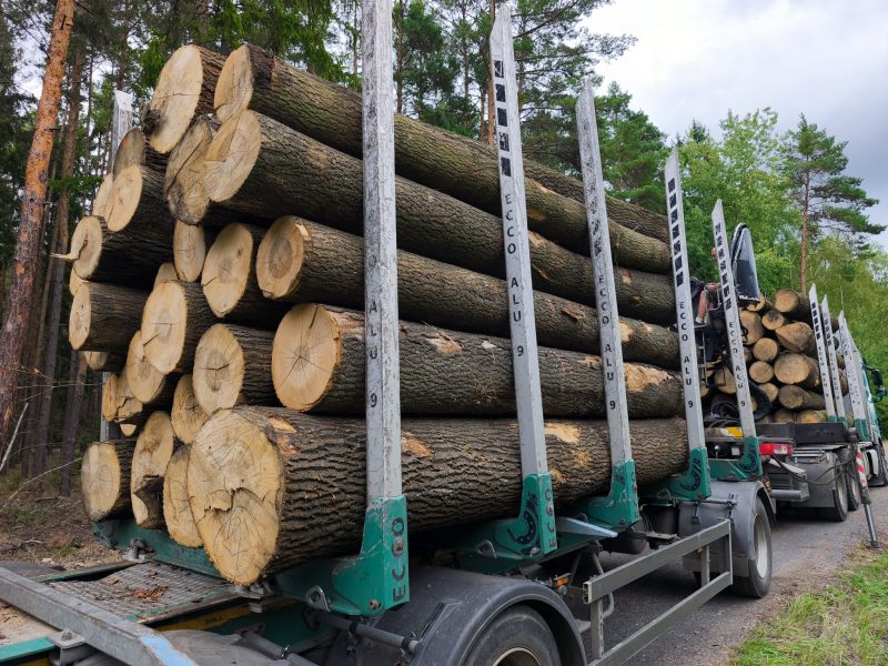 image ROUND ASH WOOD WITH BARK  EUROEXPO-NET