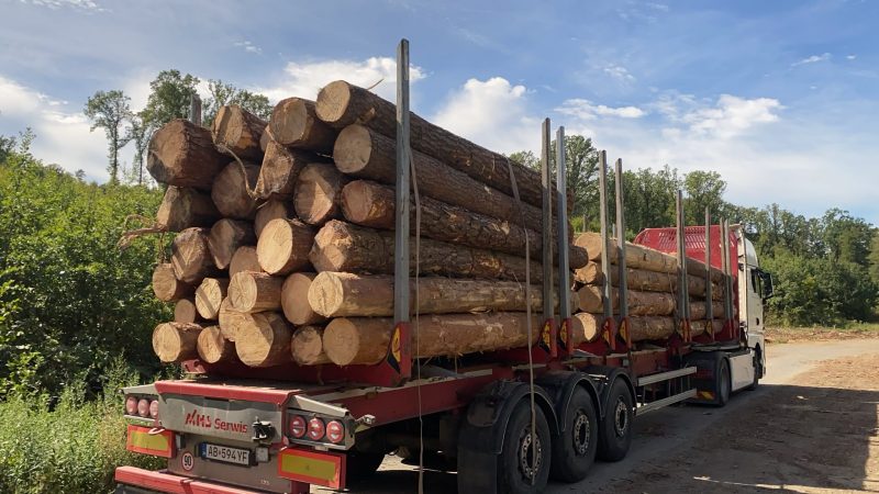 image ROUND PINEWOOD WITH BARK  EUROEXPO-NET