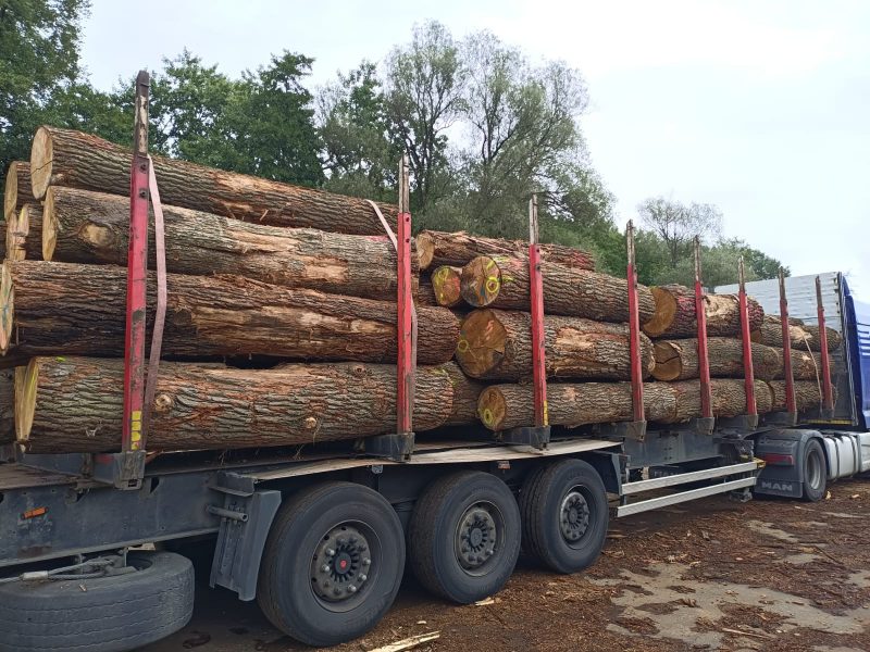 image ROUND OAK WOOD WITH BARK  EUROEXPO-NET