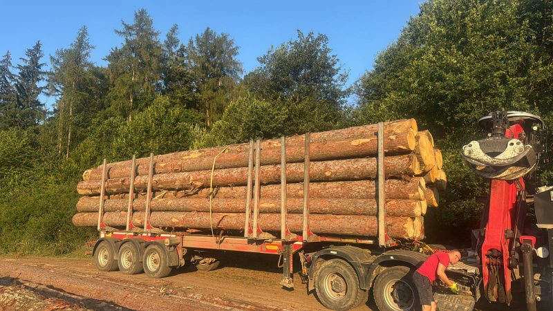 ROUND OAK WOOD WITH BARK 