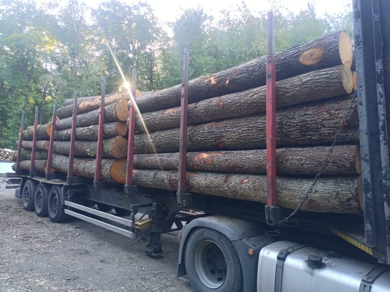 ROUND ALDER WOOD WITH BARK 