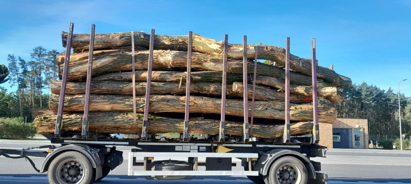 image ACACIA LOGS  EUROEXPO-NET