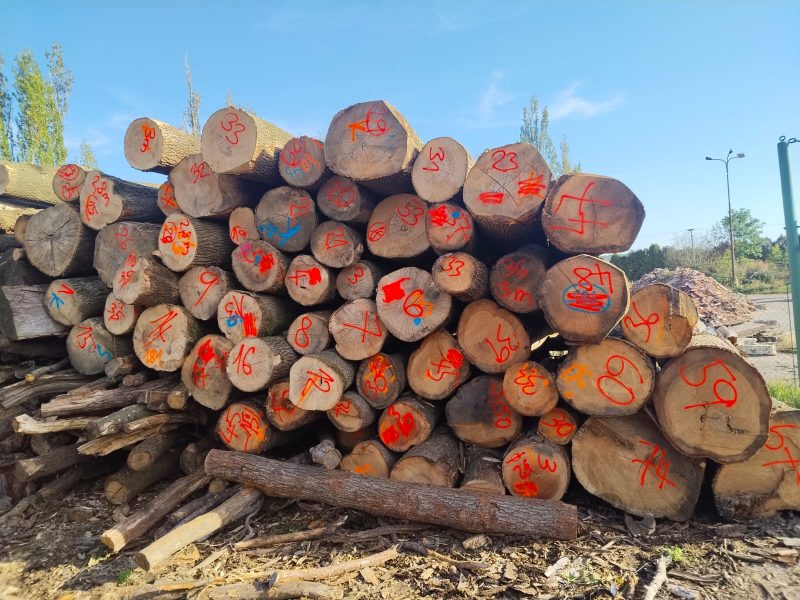image ROUND OAK WOOD WITH BARK  EUROEXPO-NET
