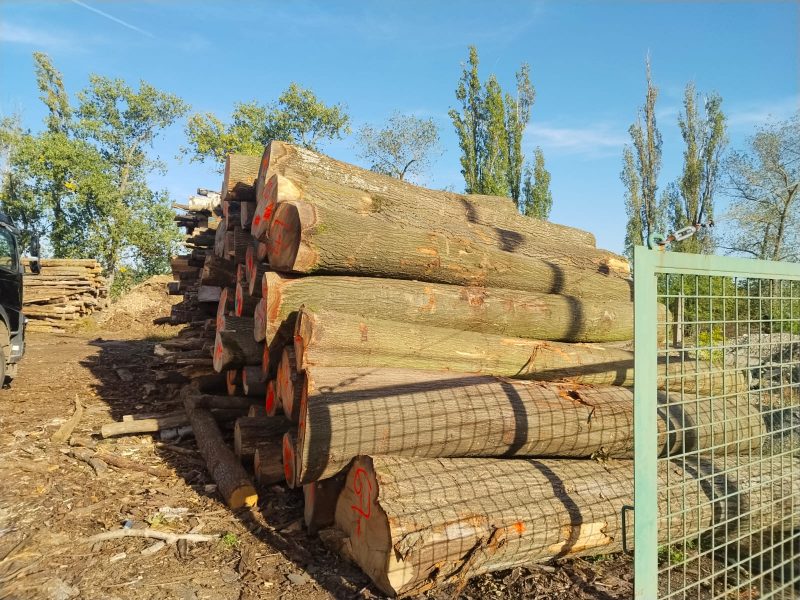 image ROUND ASH WOOD WITH BARK  EUROEXPO-NET