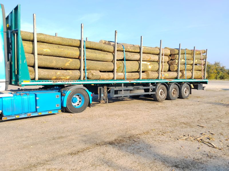 image ROUND ASH WOOD WITH BARK  EUROEXPO-NET