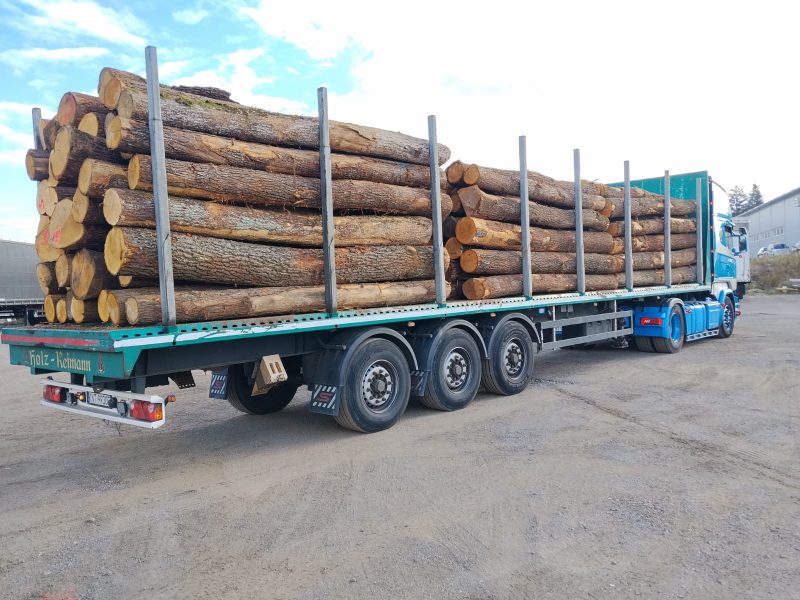 ROUND OAK WOOD WITH BARK 
