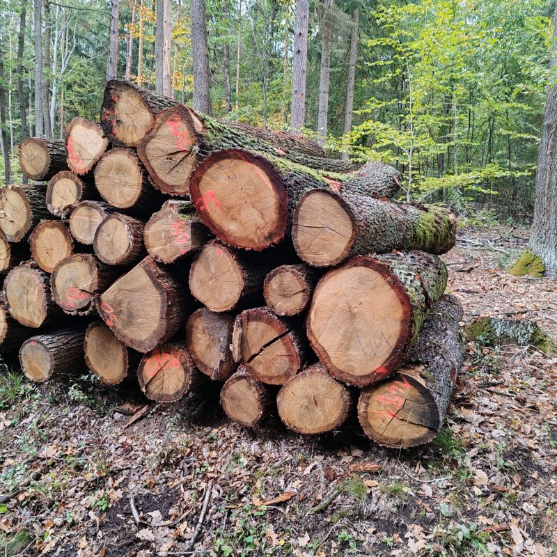 image ROUND OAK WOOD WITH BARK  EUROEXPO-NET