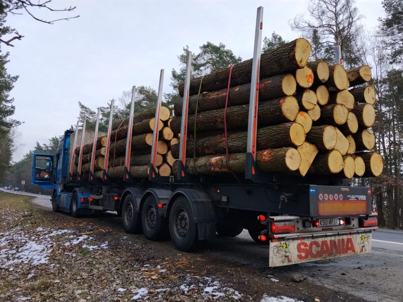 ROUND OAK WOOD WITH BARK