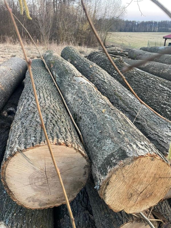 ROUND ASH WOOD WITH BARK
