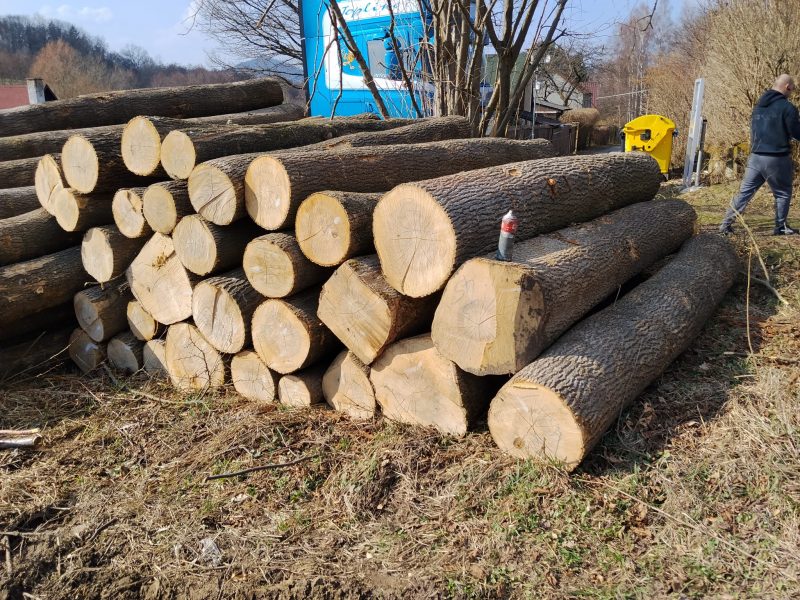 ROUND ASH WOOD WITH BARK