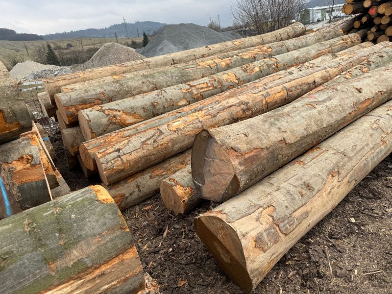 BEECH LOGS