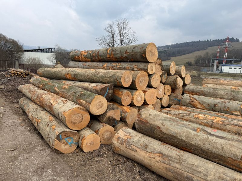 ROUND BEECHWOOD WITH BARK