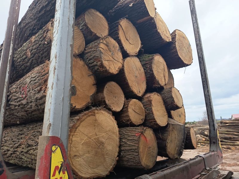 ROUND OAK WOOD WITH BARK