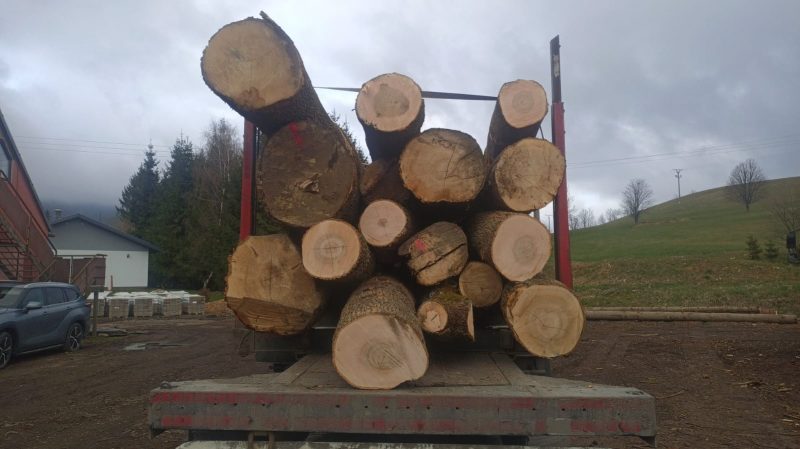 ROUND ASH WOOD WITH BARK
