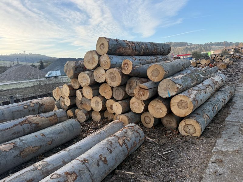 ROUND BEECHWOOD WITH BARK