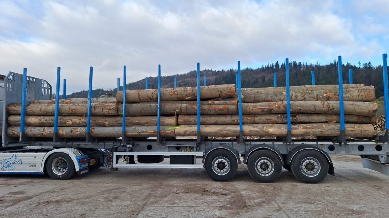 ROUND BEECHWOOD WITH BARK