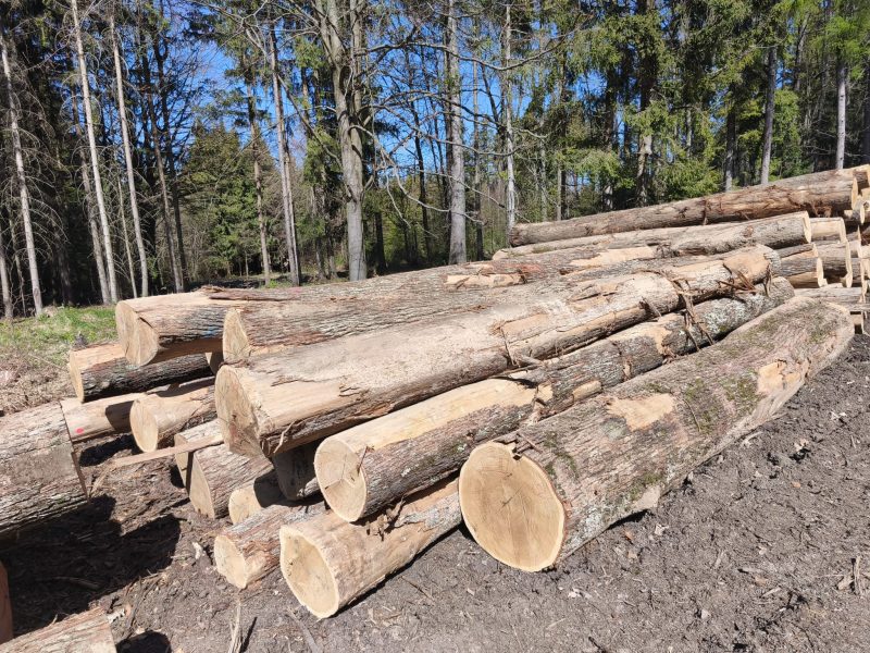 ROUND OAK WOOD WITH BARK