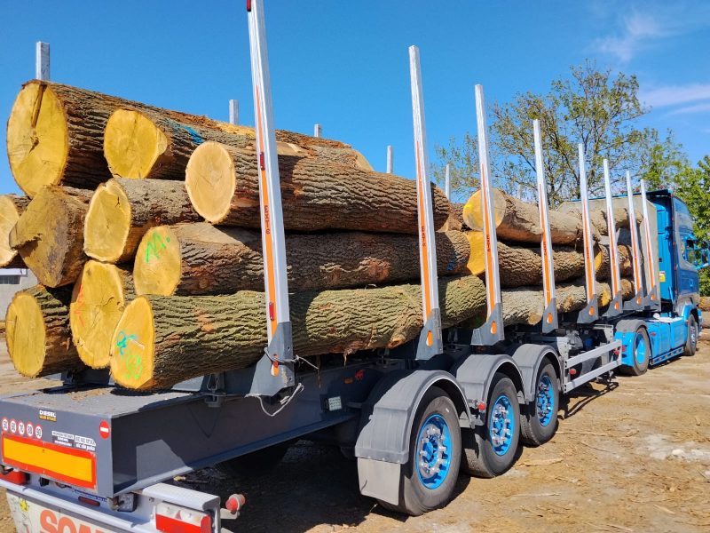 ROUND OAK WOOD WITH BARK