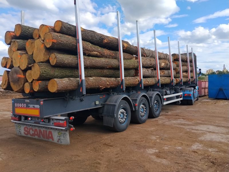 ROUND OAK WOOD WITH BARK