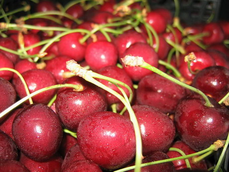 Cherries for sale