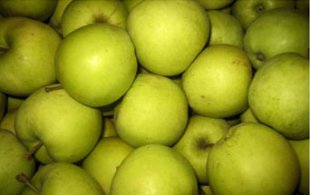 FRUIT - GOLDEN DELICIOUS APPLES