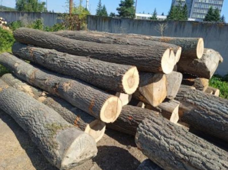 ROUND OAK WOOD WITH BARK