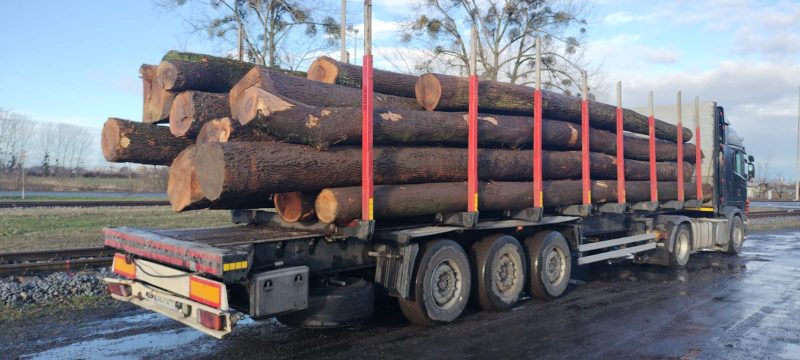 ROUND ASH WOOD WITH BARK