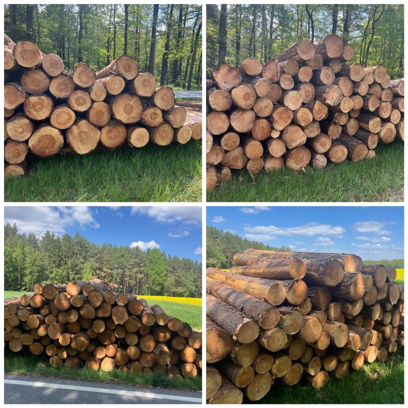 ROUND PINEWOOD WITH BARK