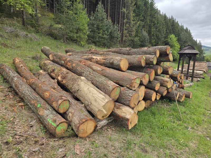 ROUND OAK WOOD WITH BARK
