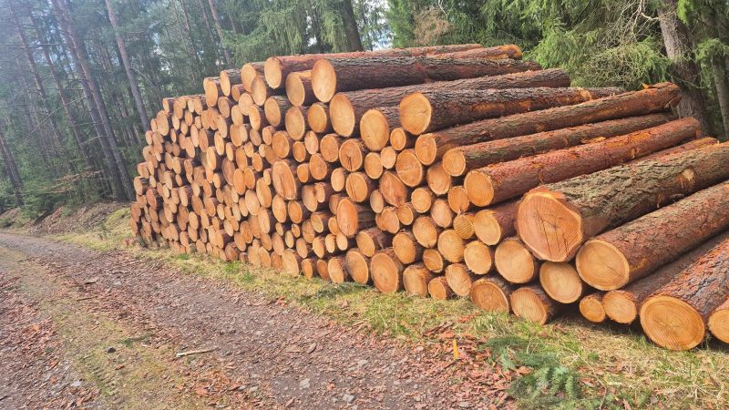 LARCH WOOD ROUND WITH BARK
