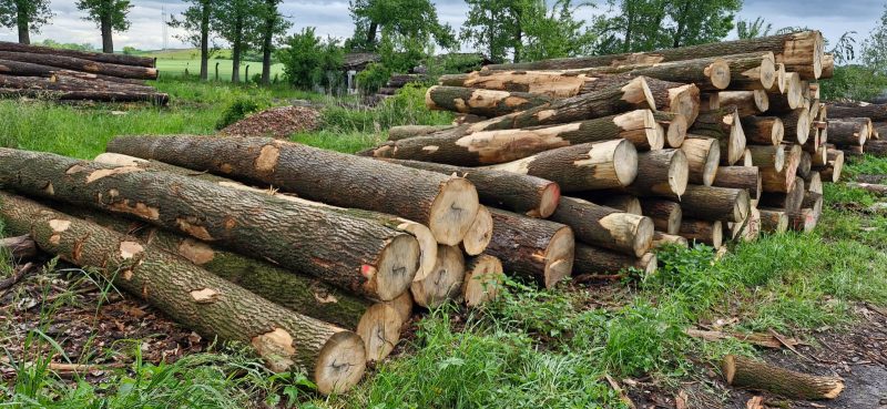 ROUND ASH WOOD WITH BARK