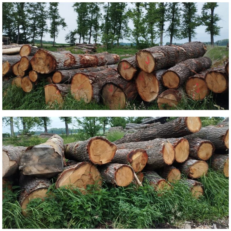 ROUND OAK WOOD WITH BARK