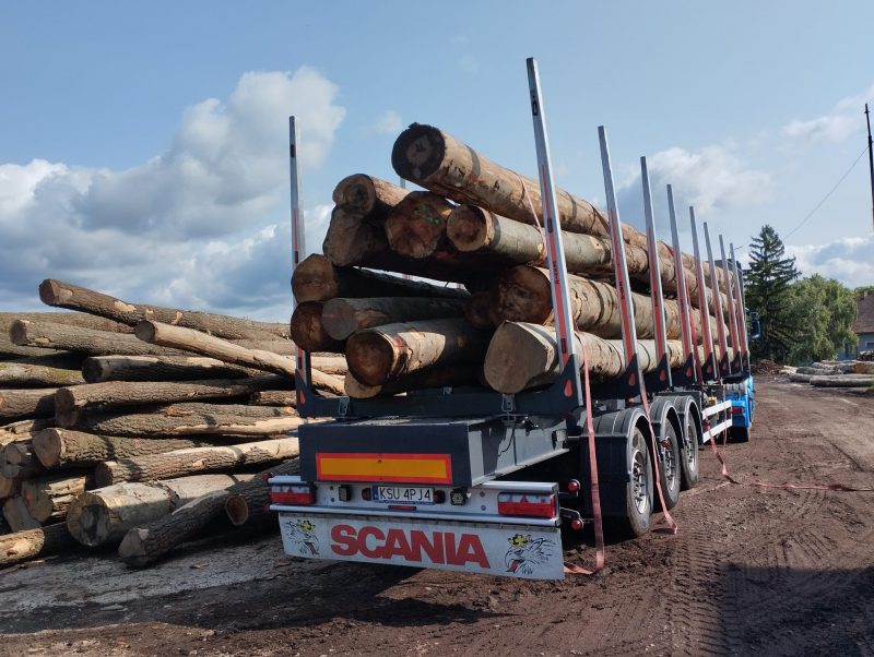 ROUND BEECHWOOD WITH BARK