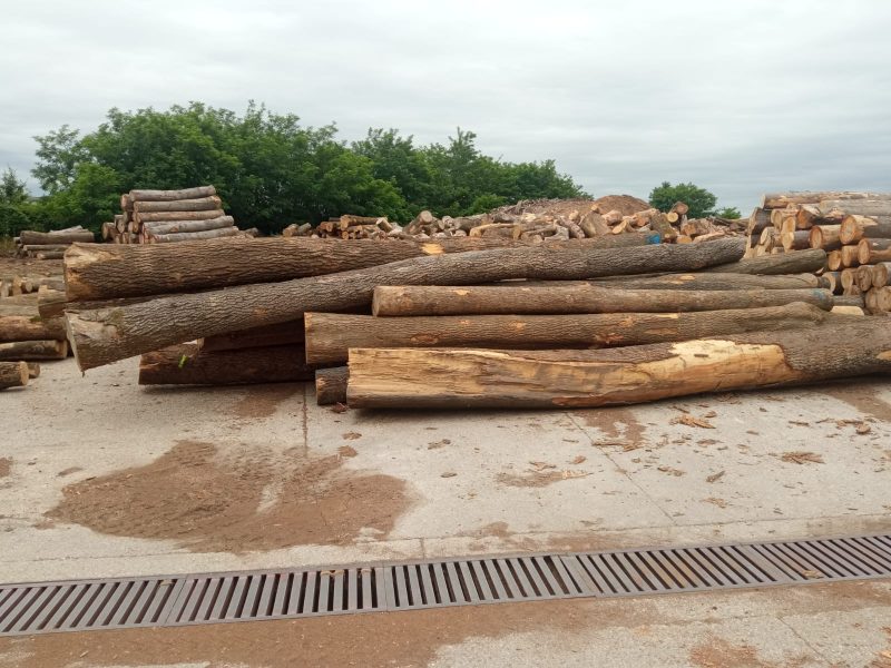 ROUND ASH WOOD WITH BARK