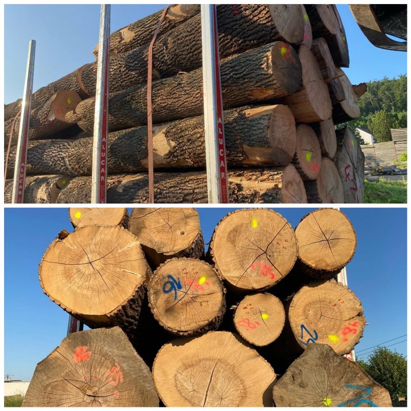 ROUND ASH WOOD WITH BARK