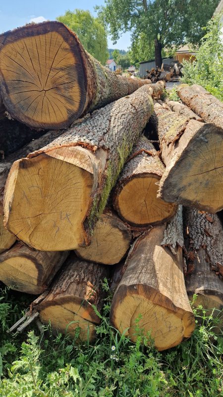 ROUND OAK WOOD WITH BARK
