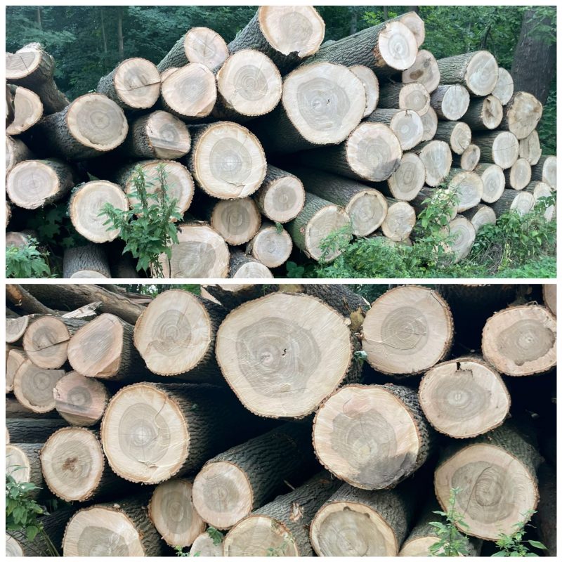 ROUND ASH WOOD WITH BARK