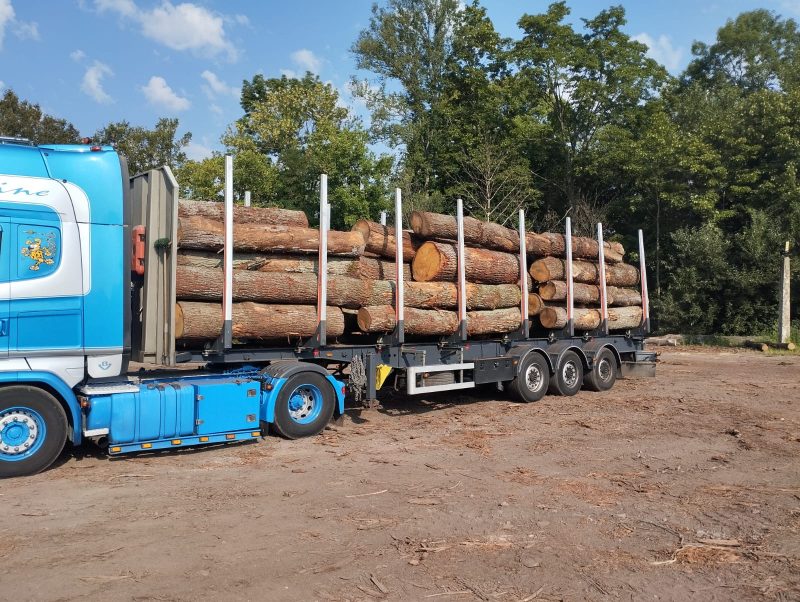 ROUND OAK WOOD WITH BARK