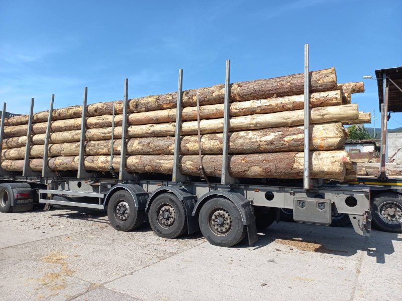 ROUND PINEWOOD WITH BARK