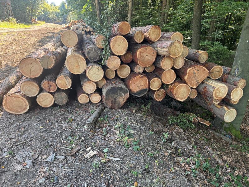 LARCH WOOD ROUND WITH BARK